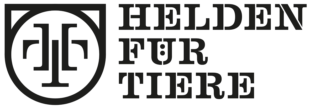 Zur Startseite gehen